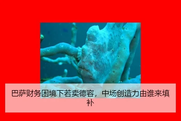 巴萨财务困境下若卖德容，中场创造力由谁来填补