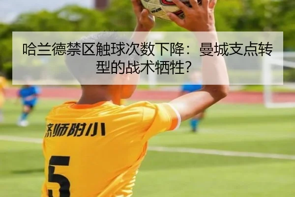 哈兰德禁区触球次数下降：曼城支点转型的战术牺牲？